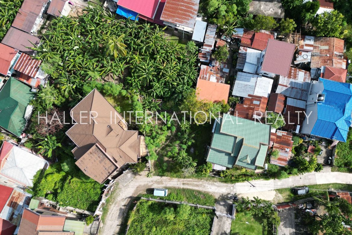 Land for Sale in Lamac, Consolacion, Cebu – photo 4