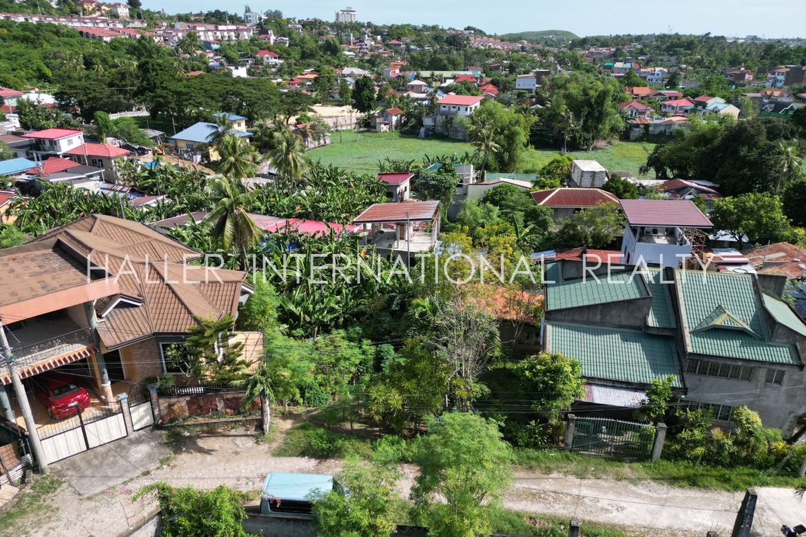 Land for Sale in Lamac, Consolacion, Cebu – photo 7