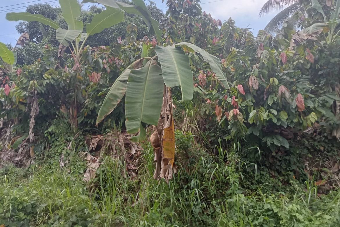 Land for Sale in Lamanan, Davao City, Davao del Sur – photo 3