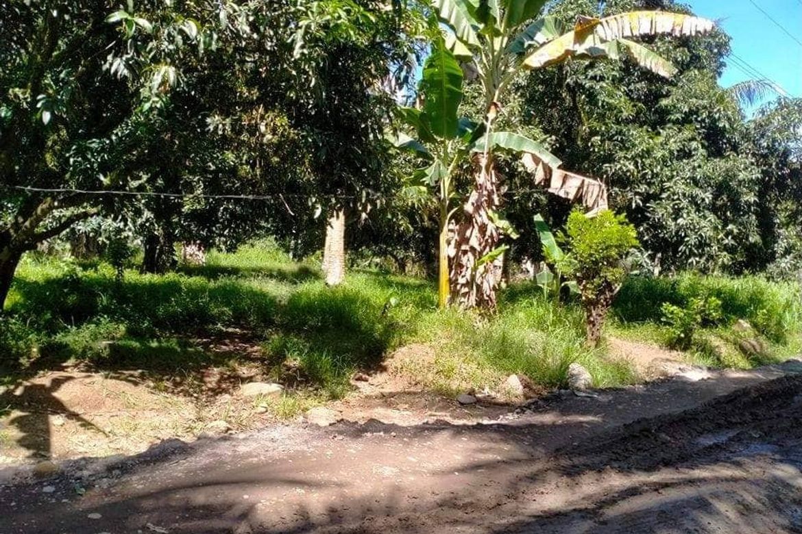 Land for Sale in Lamanan, Davao City, Davao del Sur – photo 4