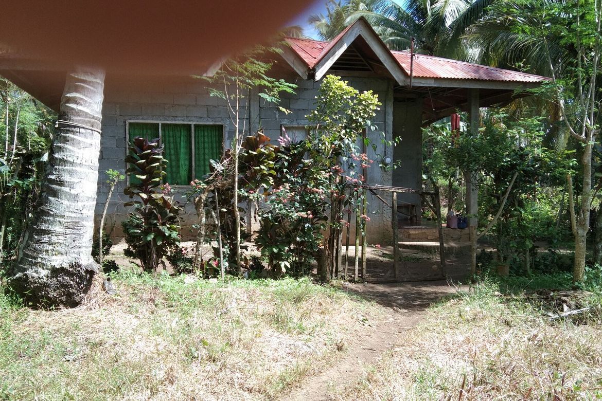 Land for Sale in Lamanan, Davao City, Davao del Sur – photo 5