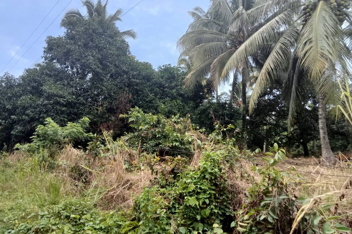 Land for Sale in Lamanan, Davao City, Davao del Sur – photo 6