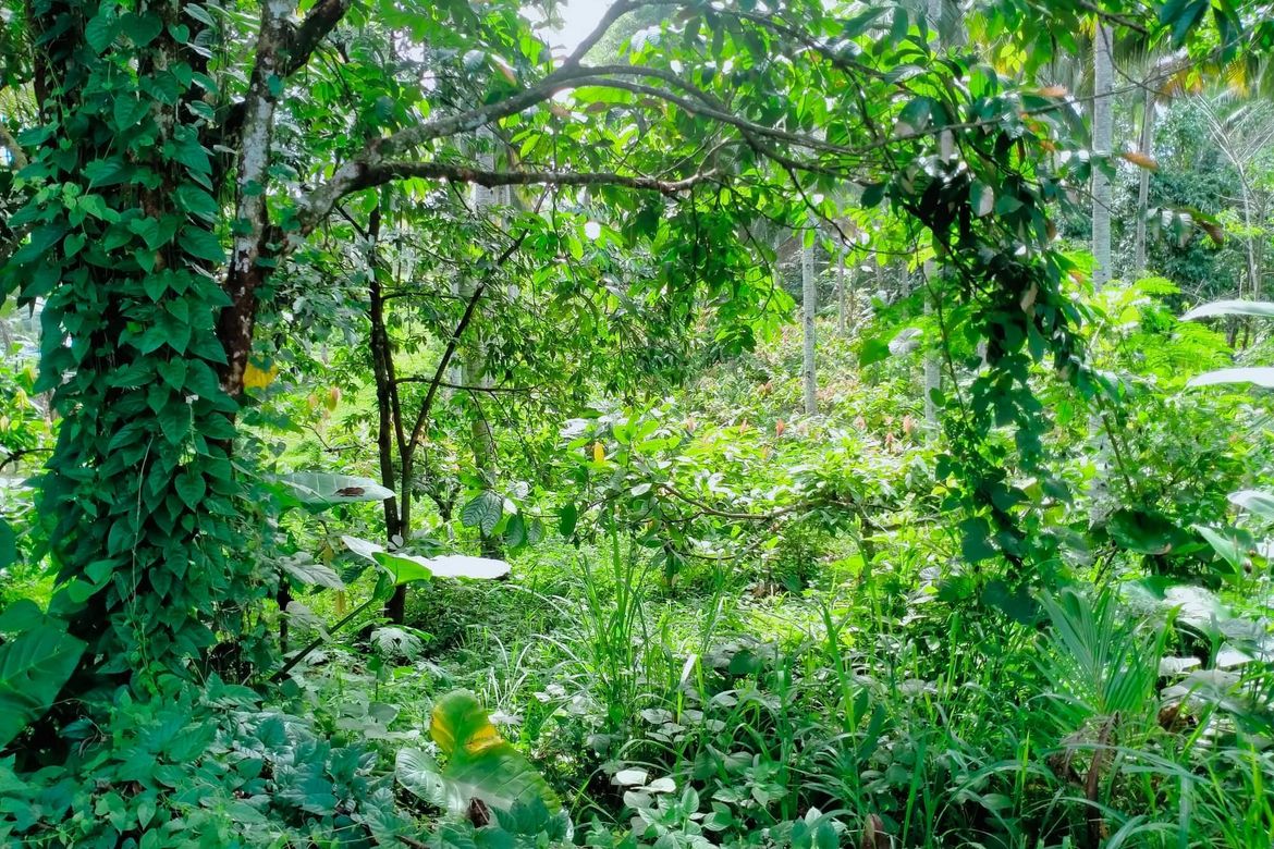 Land for Sale in Lamanan, Davao City, Davao del Sur – photo 2