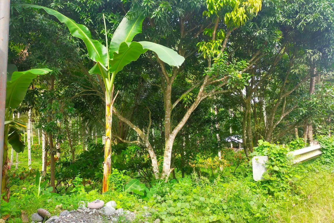 Land for Sale in Lamanan, Davao City, Davao del Sur – photo 6