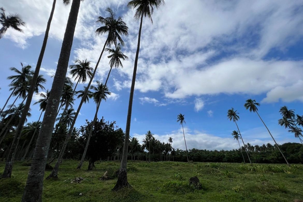 Land for Sale in Lambac, Pagsanjan, Laguna – photo 7