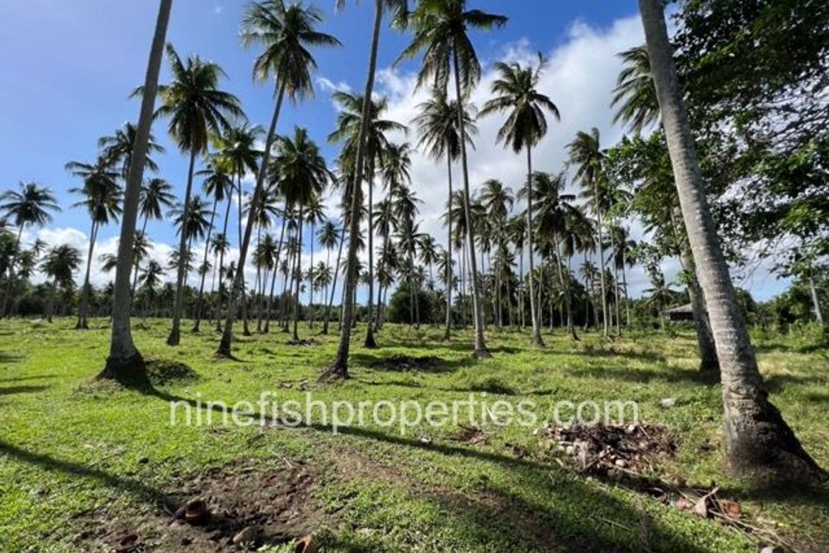 Land for Sale in Lambac, Pagsanjan, Laguna – photo 8