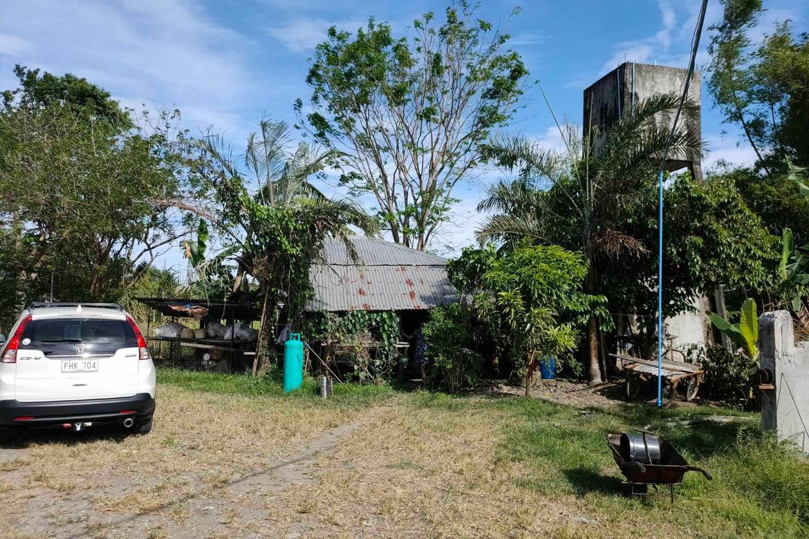 Land for Sale in Lambuyao, Oton, Iloilo – photo 2