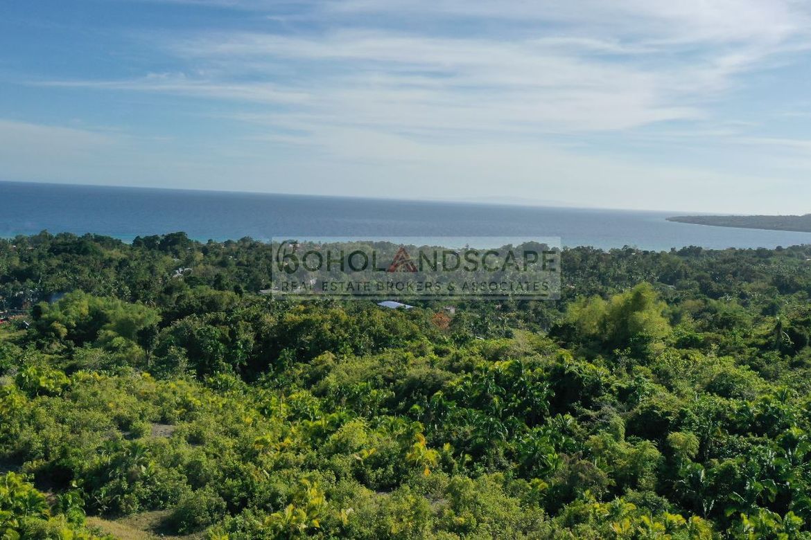 Land for Sale in Landican, Baclayon, Bohol – photo 4