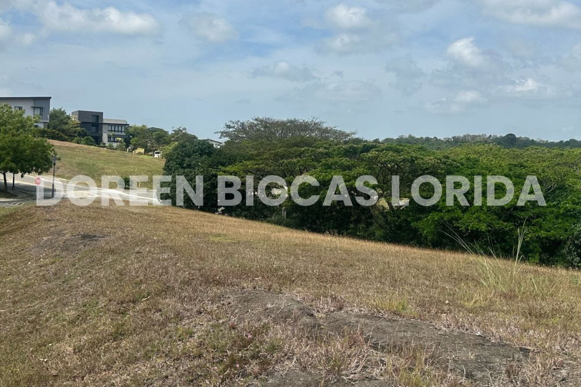 Land for Sale in Lanewood Hills at Southmont, Hukay, Silang, Cavite