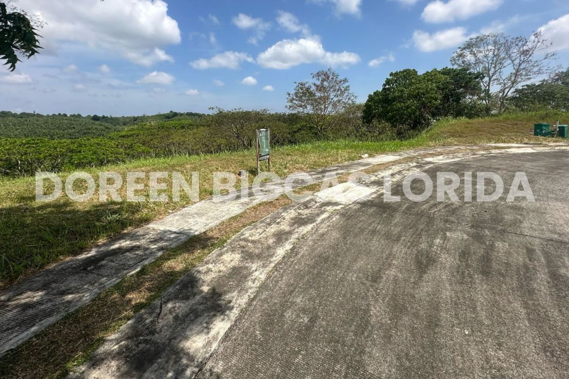Land for Sale in Lanewood Hills at Southmont, Hukay, Silang, Cavite – photo 2