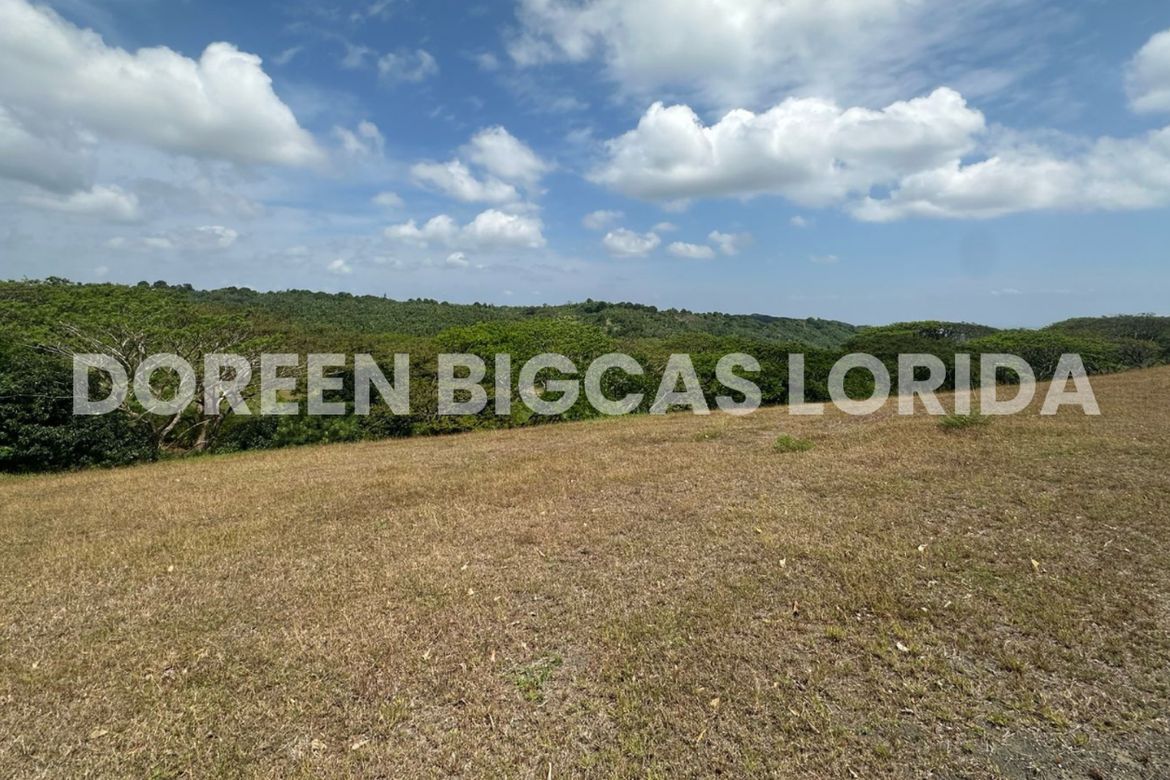 Land for Sale in Lanewood Hills at Southmont, Hukay, Silang, Cavite – photo 4