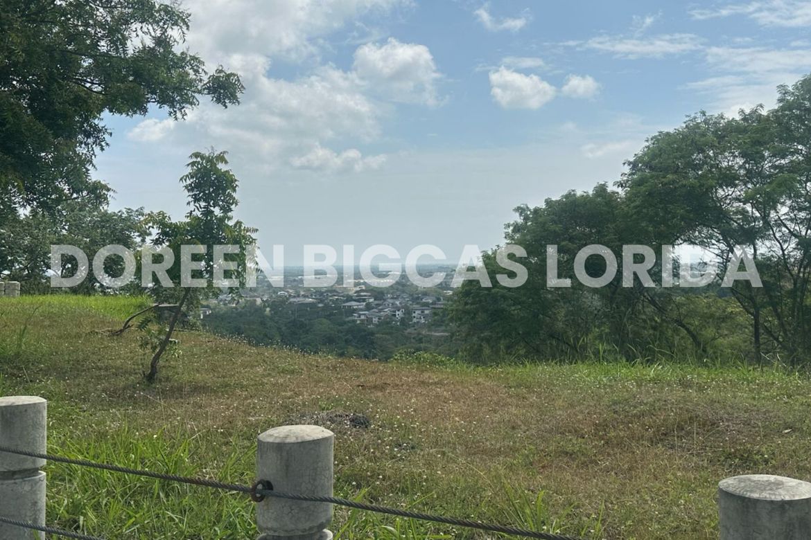 Land for Sale in Lanewood Hills at Southmont, Hukay, Silang, Cavite – photo 5