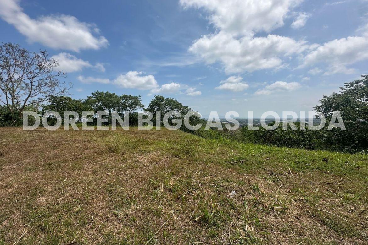 Land for Sale in Lanewood Hills at Southmont, Hukay, Silang, Cavite – photo 6