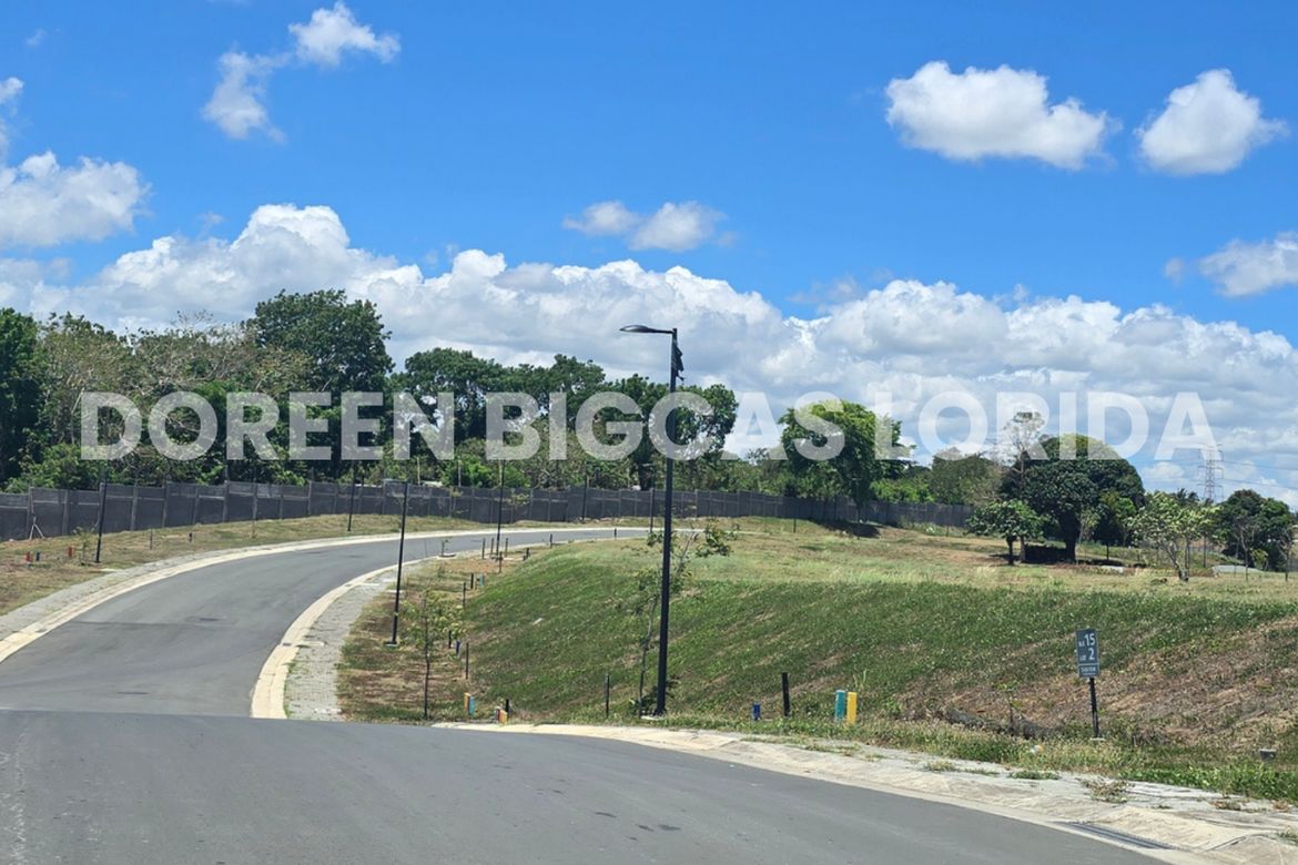 Land for Sale in Lanewood Hills at Southmont, Hukay, Silang, Cavite – photo 8