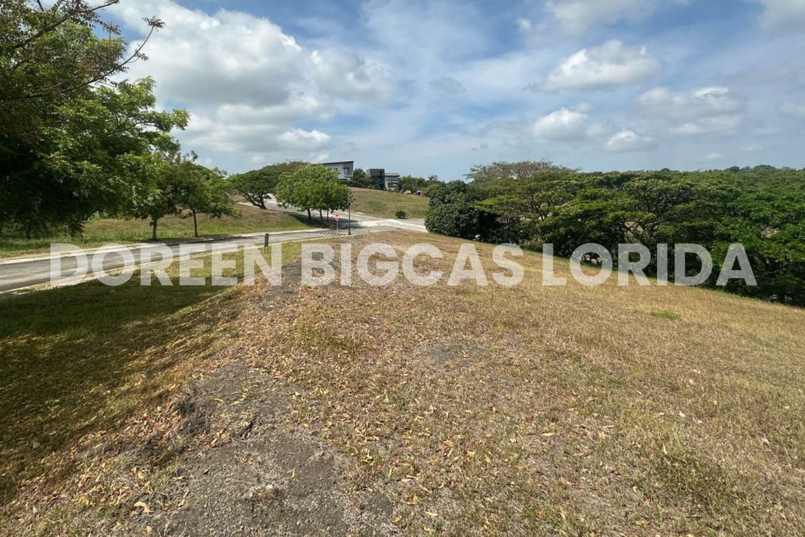 Land for Sale in Lanewood Hills at Southmont, Hukay, Silang, Cavite – photo 4
