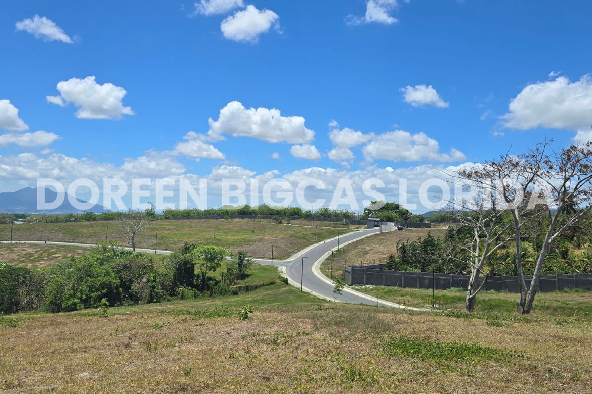Land for Sale in Lanewood Hills at Southmont, Hukay, Silang, Cavite – photo 3