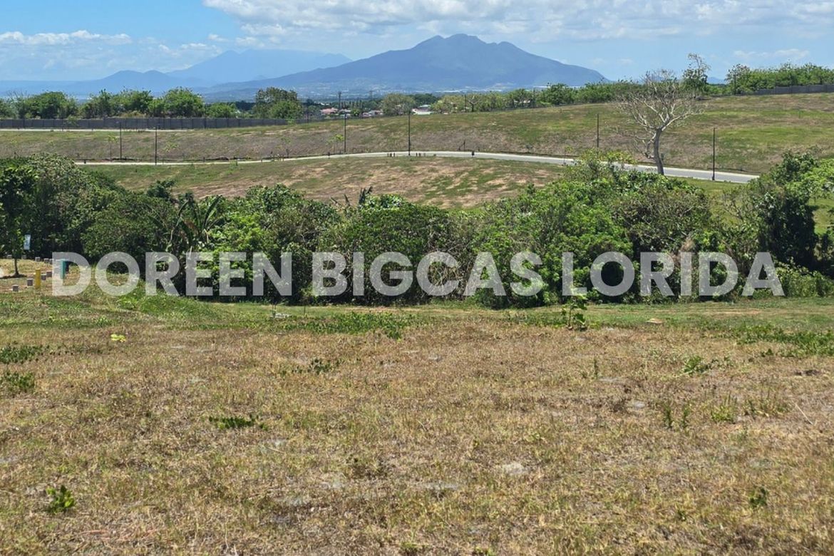 Land for Sale in Lanewood Hills at Southmont, Hukay, Silang, Cavite – photo 4