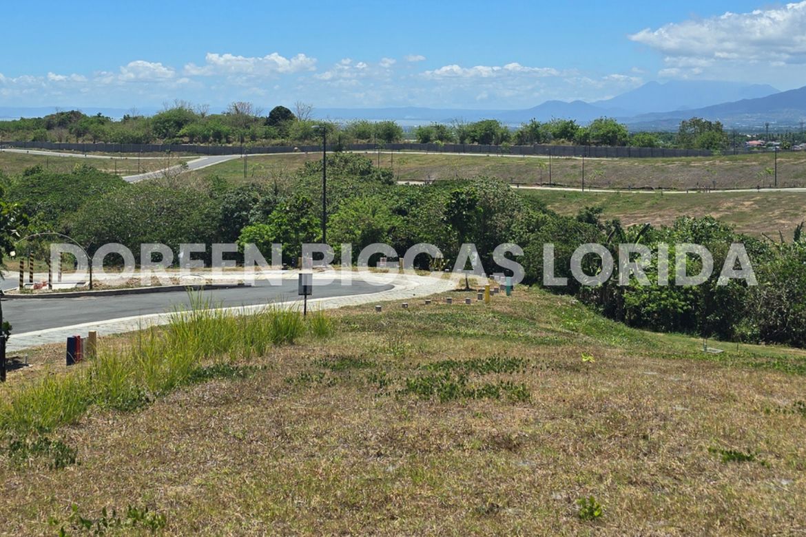 Land for Sale in Lanewood Hills at Southmont, Hukay, Silang, Cavite – photo 6