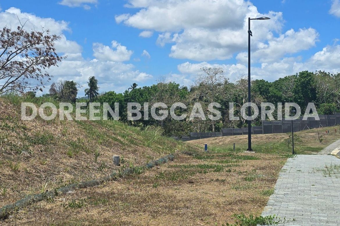 Land for Sale in Lanewood Hills at Southmont, Hukay, Silang, Cavite – photo 3