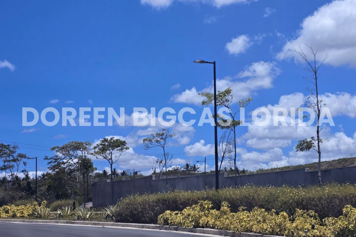 Land for Sale in Lanewood Hills at Southmont, Hukay, Silang, Cavite – photo 6
