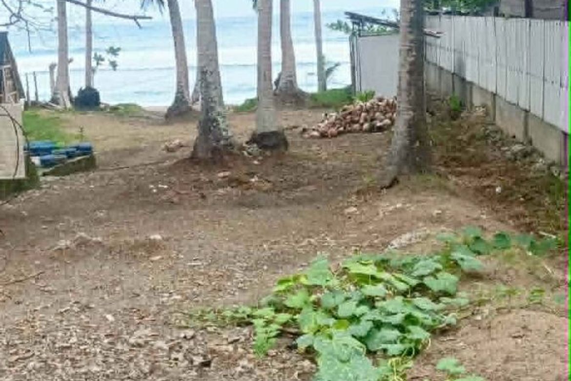 Land for Sale in Langka, Mati, Davao Oriental – photo 2
