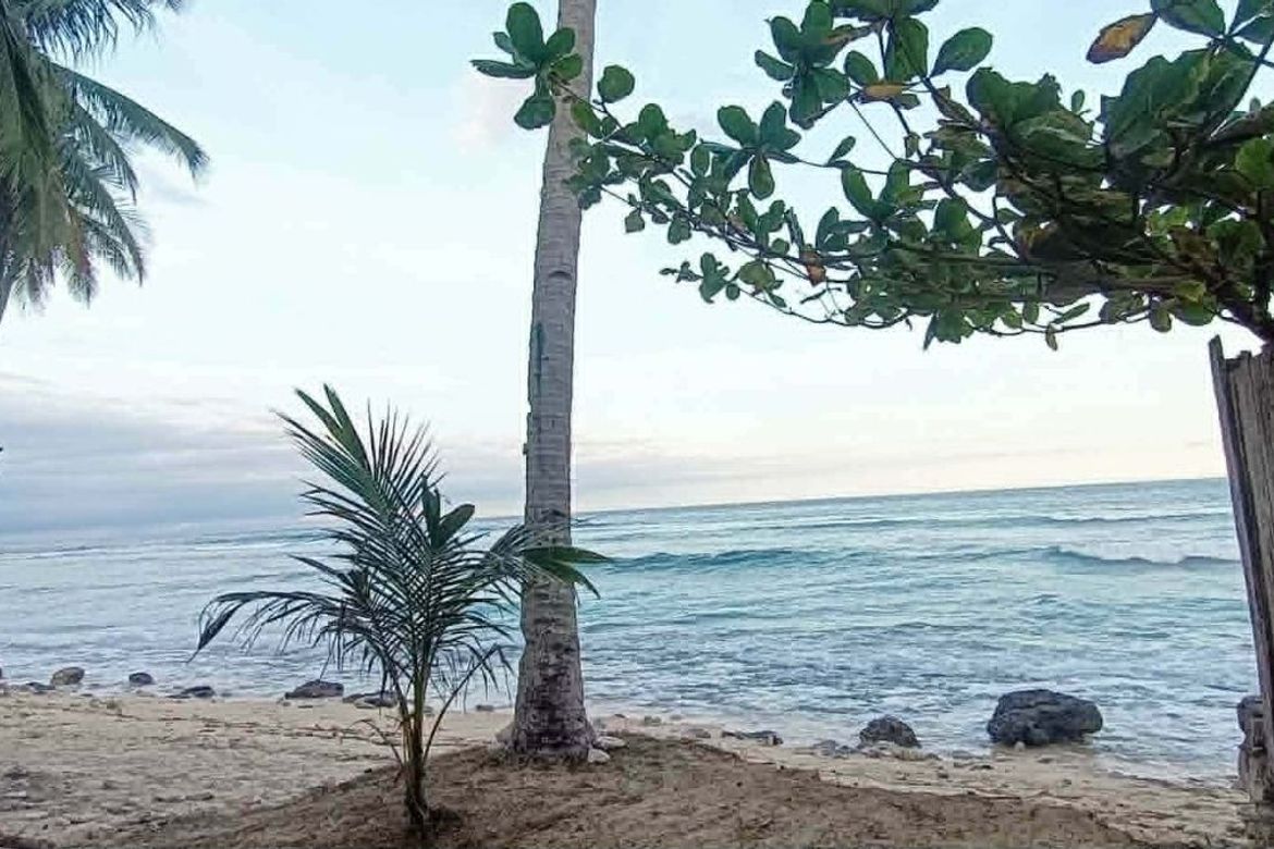 Land for Sale in Langka, Mati, Davao Oriental – photo 4