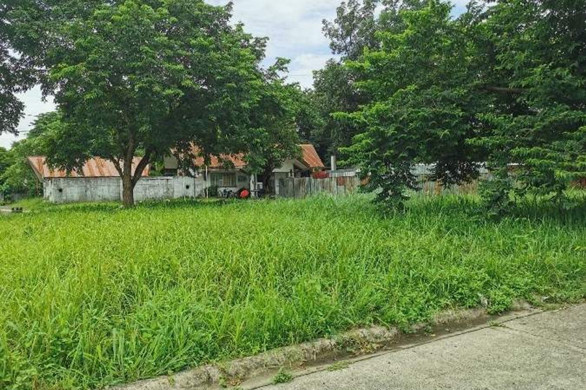Land for Sale in Langkiwa, Biñan, Laguna – photo 2