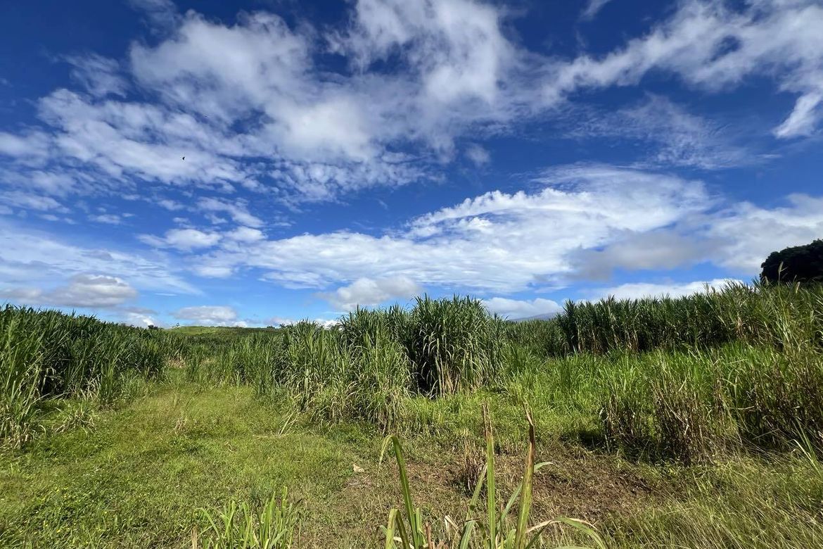 Land for Sale in Lanise, Claveria, Misamis Oriental – photo 3