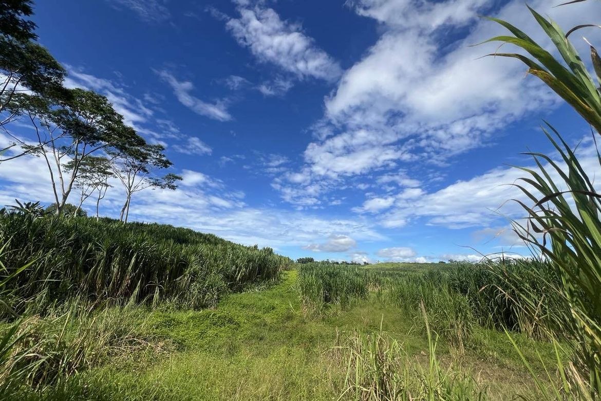 Land for Sale in Lanise, Claveria, Misamis Oriental – photo 4