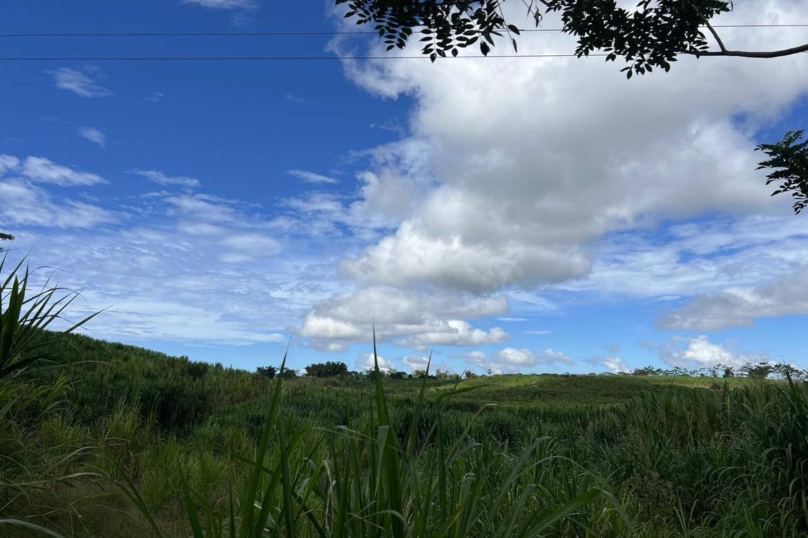 Land for Sale in Lanise, Claveria, Misamis Oriental – photo 5