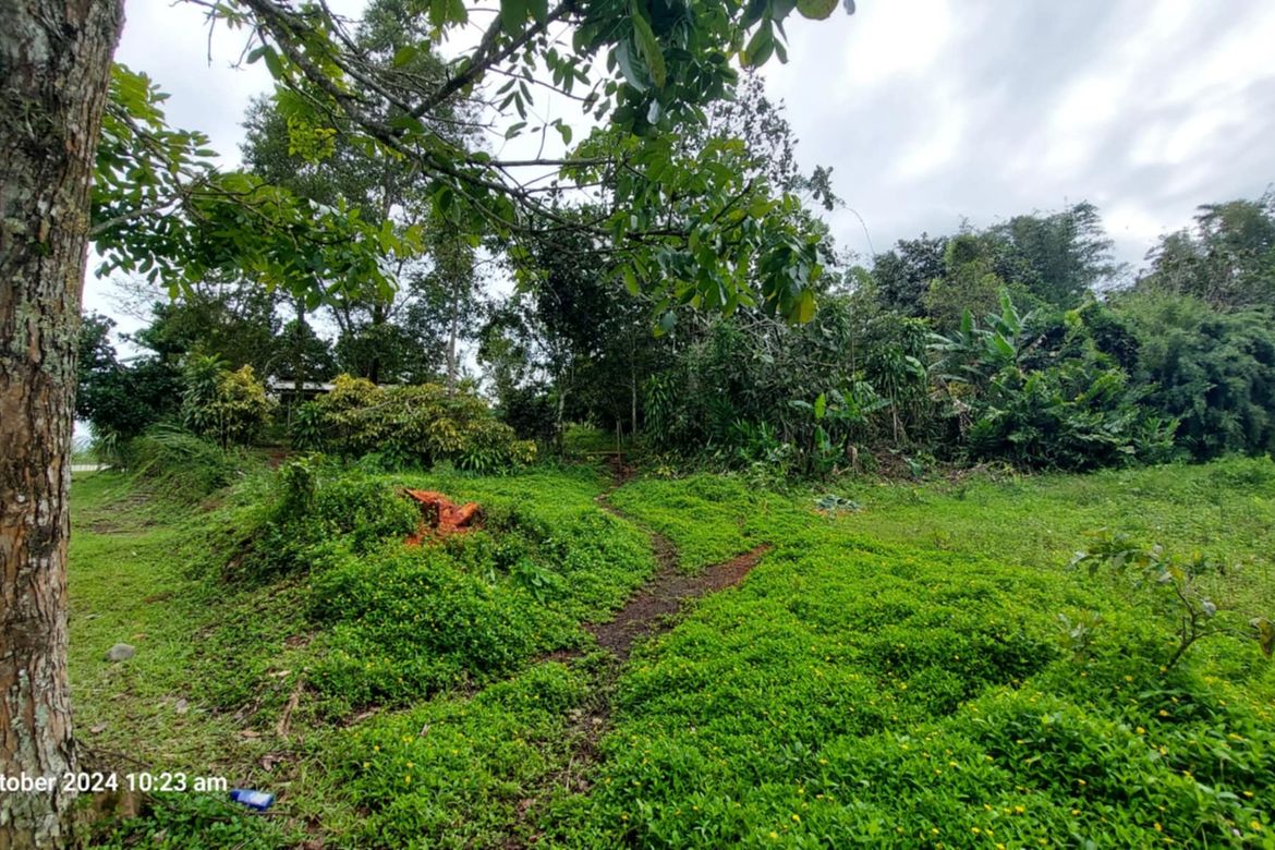 Land for Sale in Lanise, Claveria, Misamis Oriental – photo 3