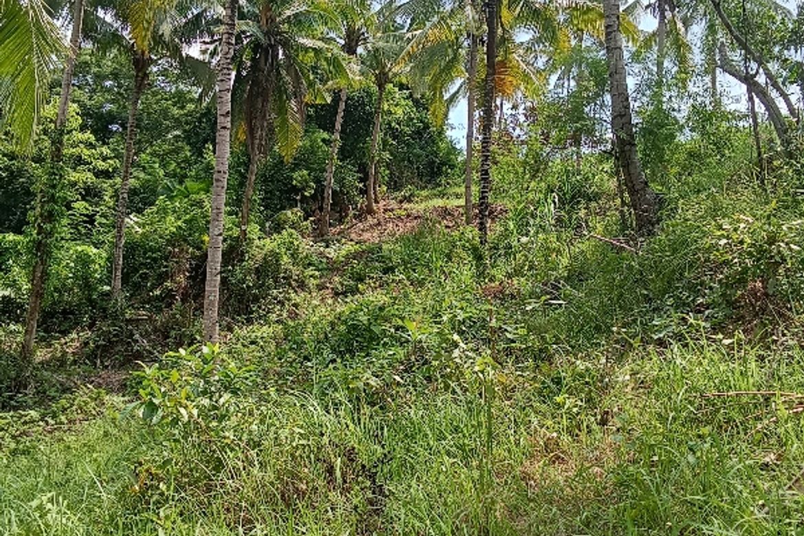 Land for Sale in Lantawan, San Fernando, Cebu – photo 3