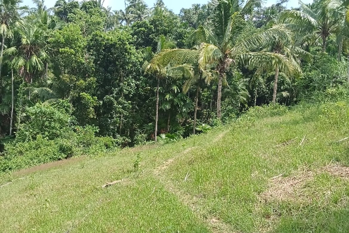 Land for Sale in Lantawan, San Fernando, Cebu – photo 4