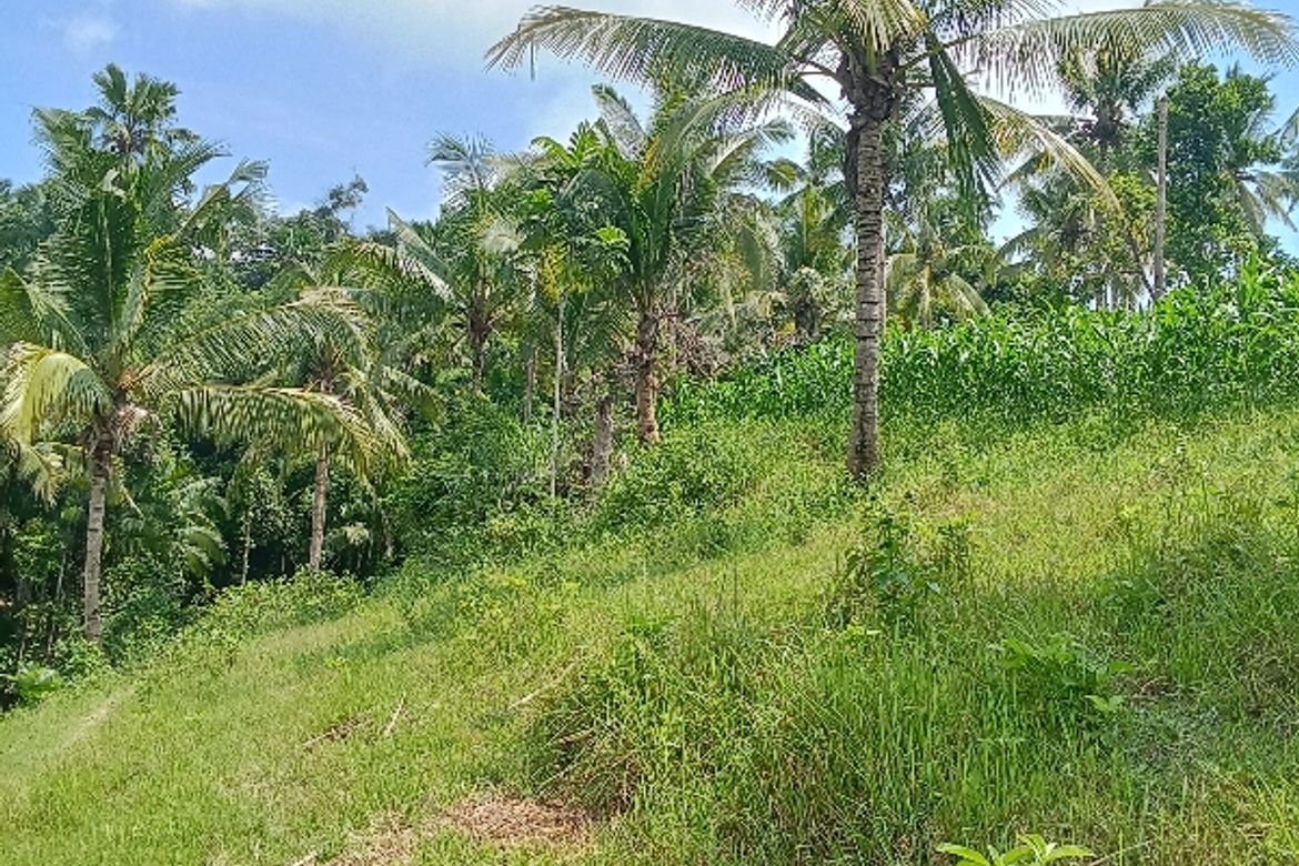 Land for Sale in Lantawan, San Fernando, Cebu – photo 5