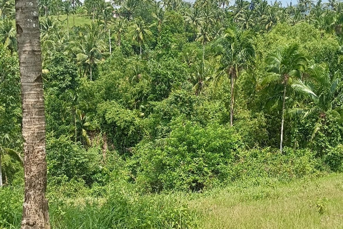 Land for Sale in Lantawan, San Fernando, Cebu – photo 6