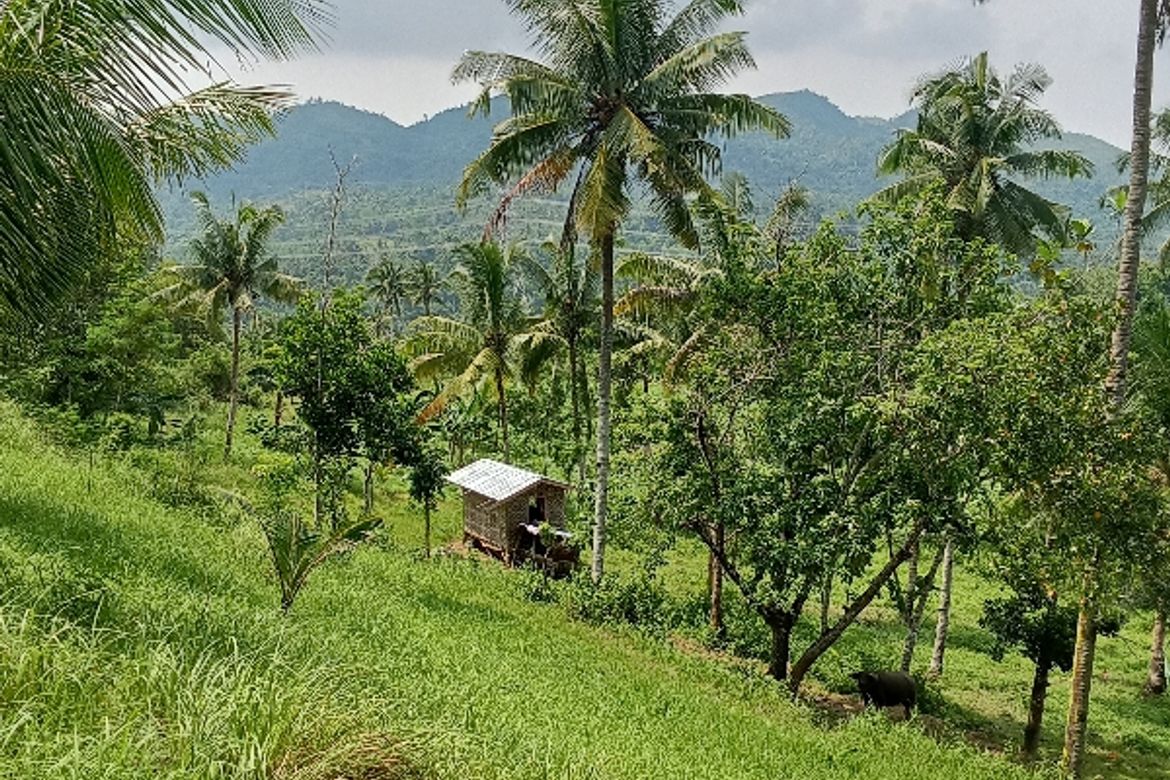 Land for Sale in Lantawan, San Fernando, Cebu – photo 8