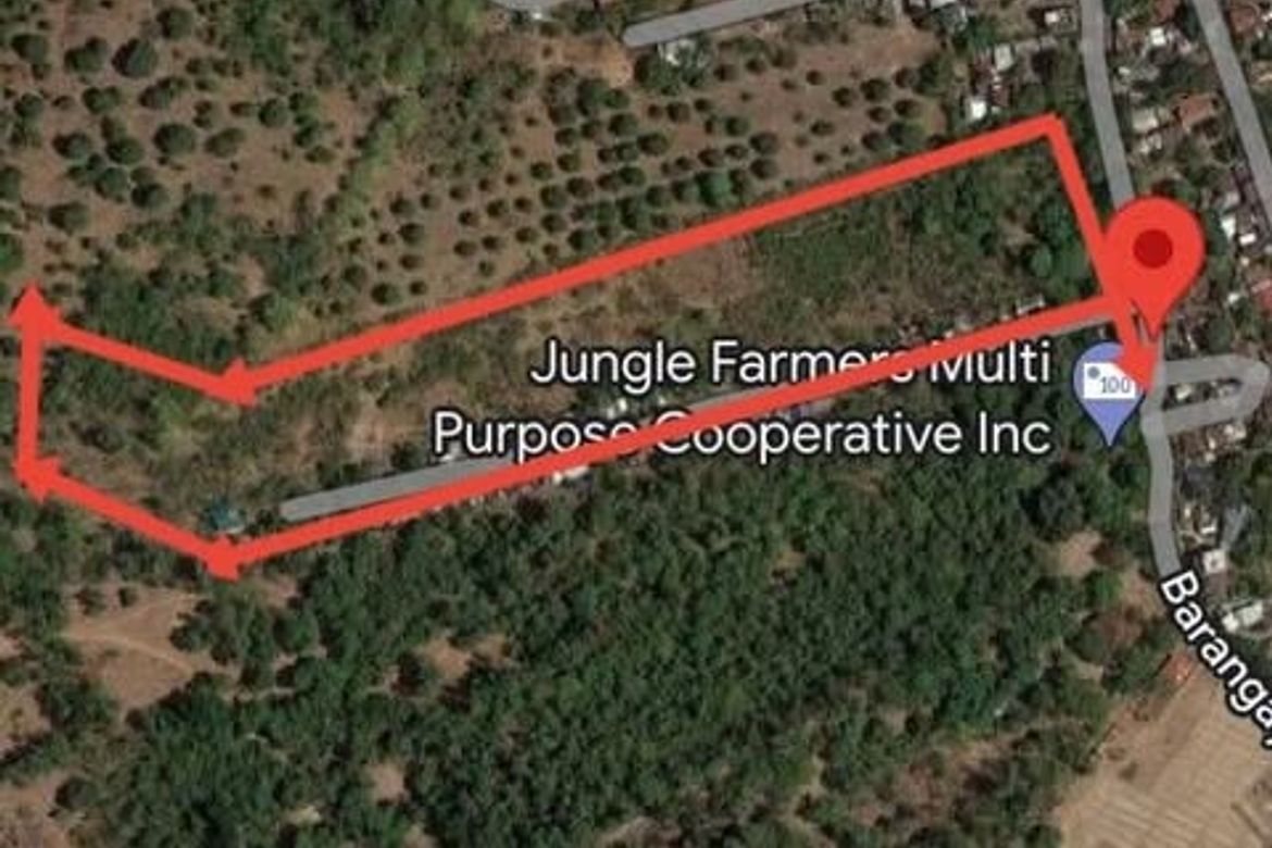 Land for Sale in Laoag, Aguilar, Pangasinan – photo 5