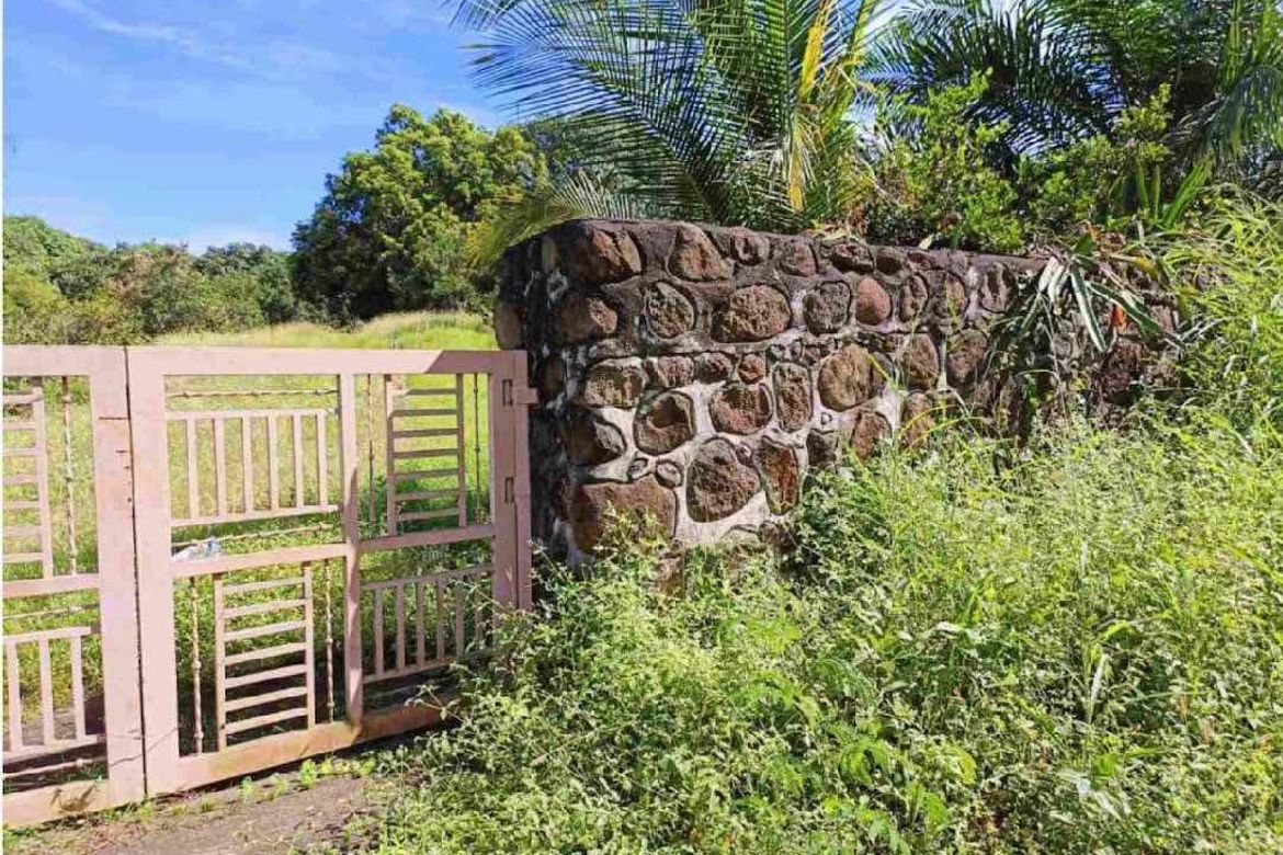 Land for Sale in LaPaz, Arayat, Pampanga