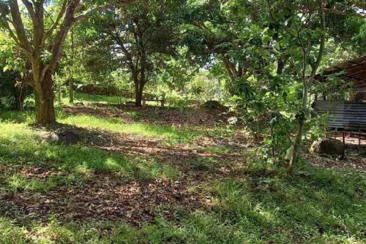 Land for Sale in LaPaz, Arayat, Pampanga – photo 3