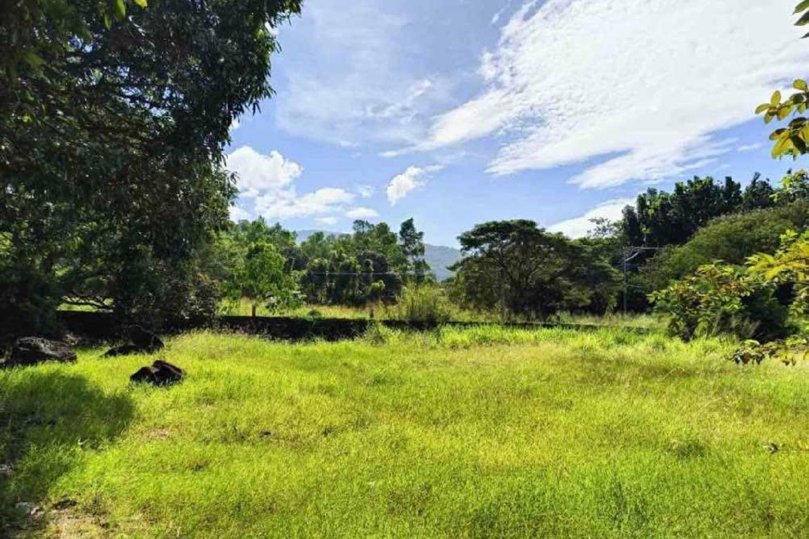Land for Sale in LaPaz, Arayat, Pampanga – photo 4