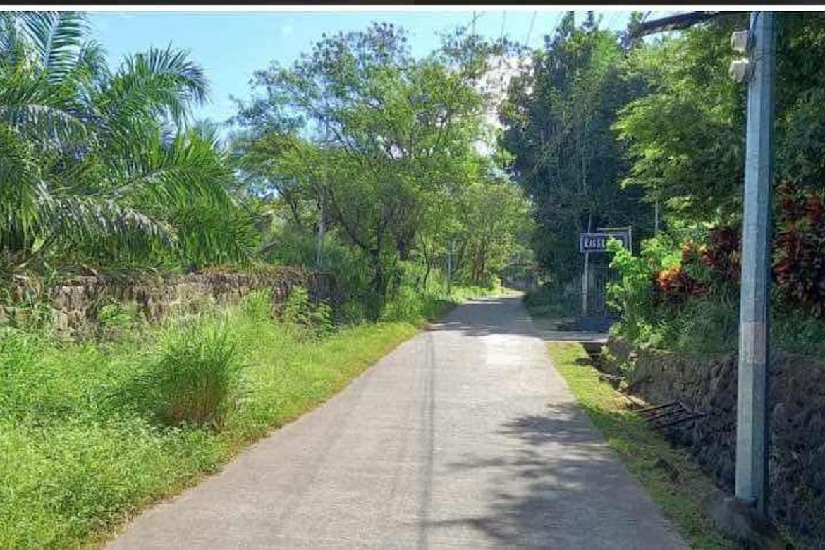 Land for Sale in LaPaz, Arayat, Pampanga – photo 7