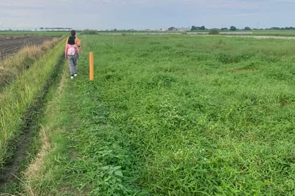 Land for Sale in LaPaz, Magalang, Pampanga – photo 3