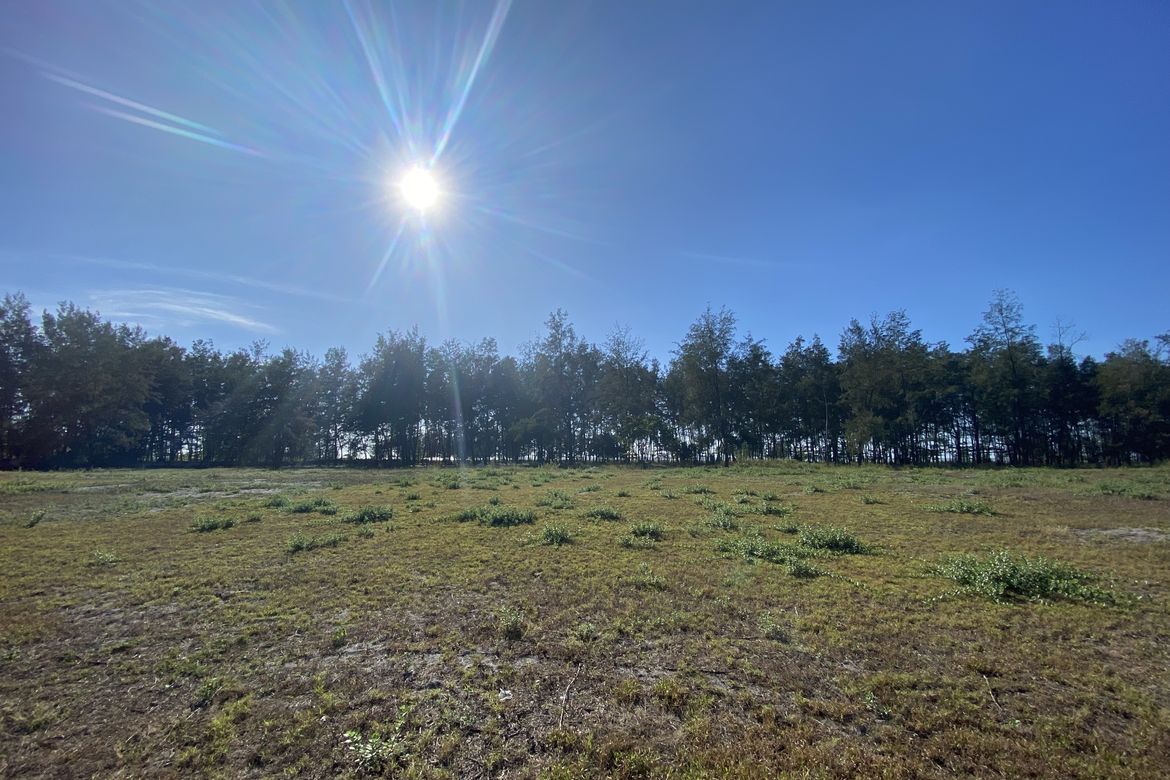 Land for Sale in LaPaz, San Narciso, Zambales – photo 4