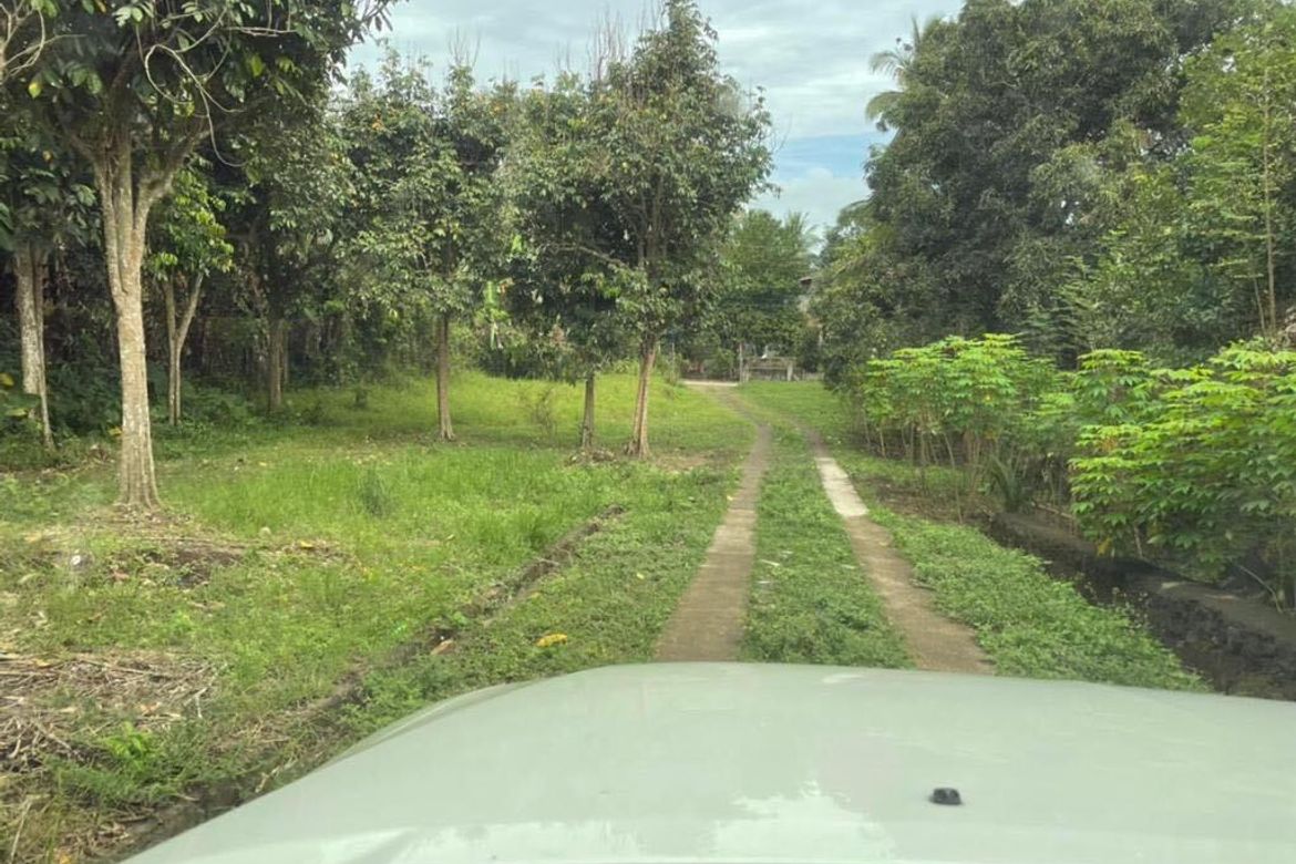 Land for Sale in Lapu-Lapu, Ibaan, Batangas – photo 2