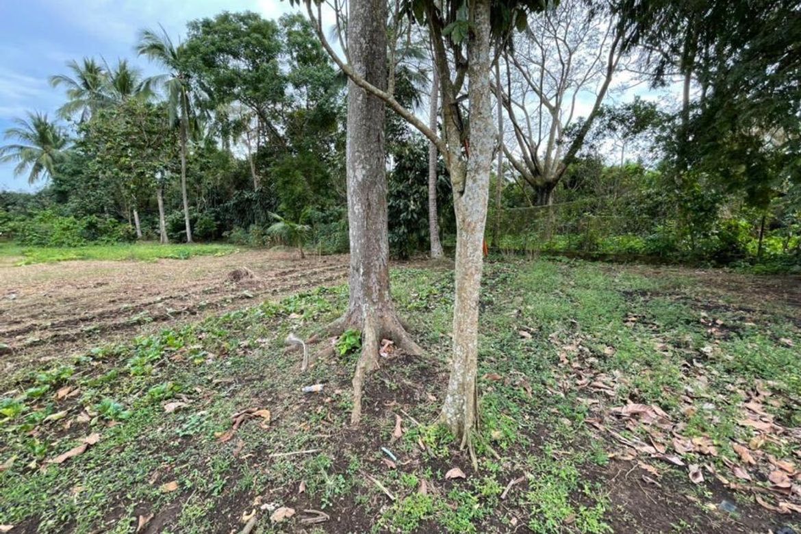 Land for Sale in Lapu-Lapu, Ibaan, Batangas – photo 7