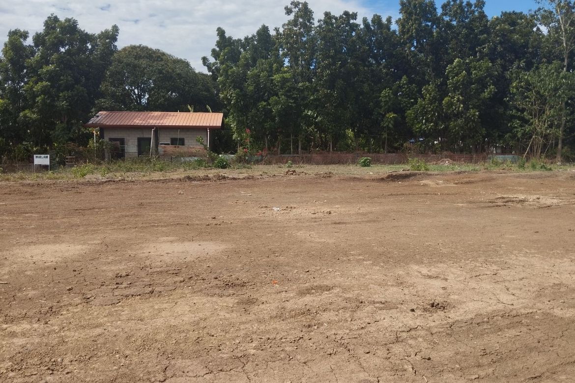 Land for Sale in Lareg-Lareg, Malasiqui, Pangasinan – photo 2