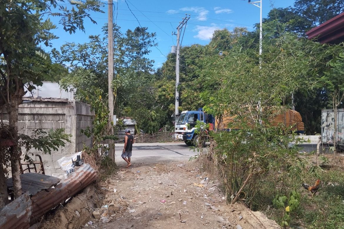 Land for Sale in Lareg-Lareg, Malasiqui, Pangasinan – photo 5