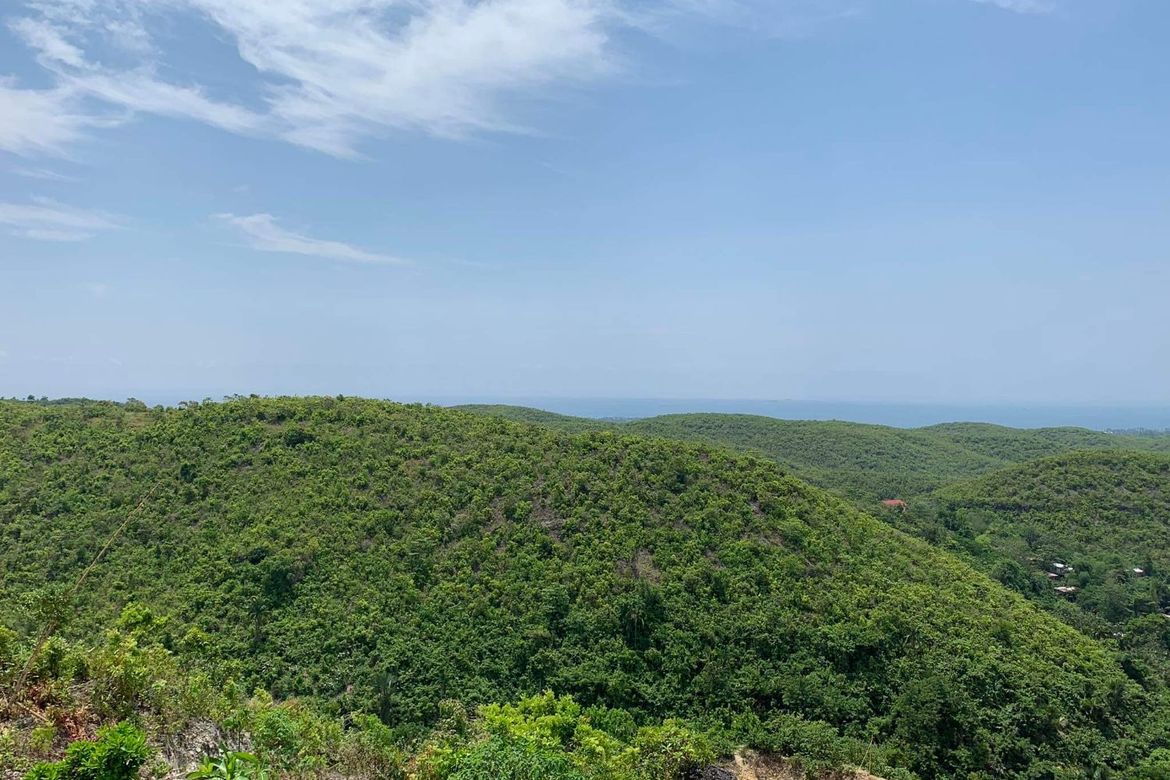 Land for Sale in Lataban, Liloan, Cebu – photo 6