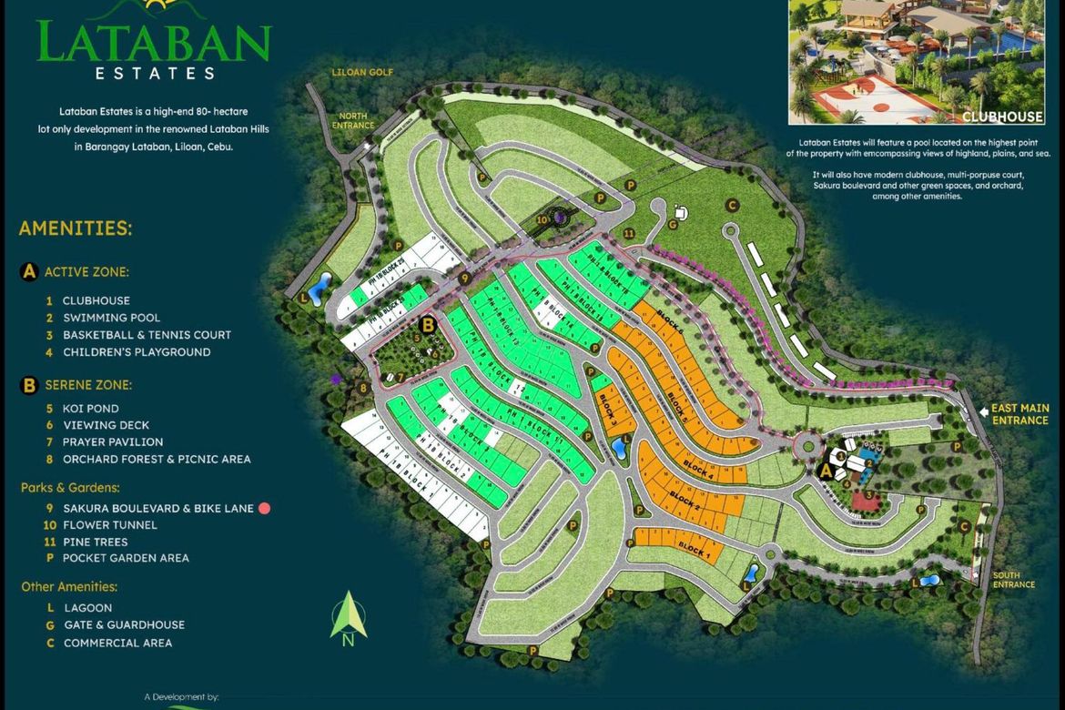 Land for Sale in Lataban, Liloan, Cebu – photo 2