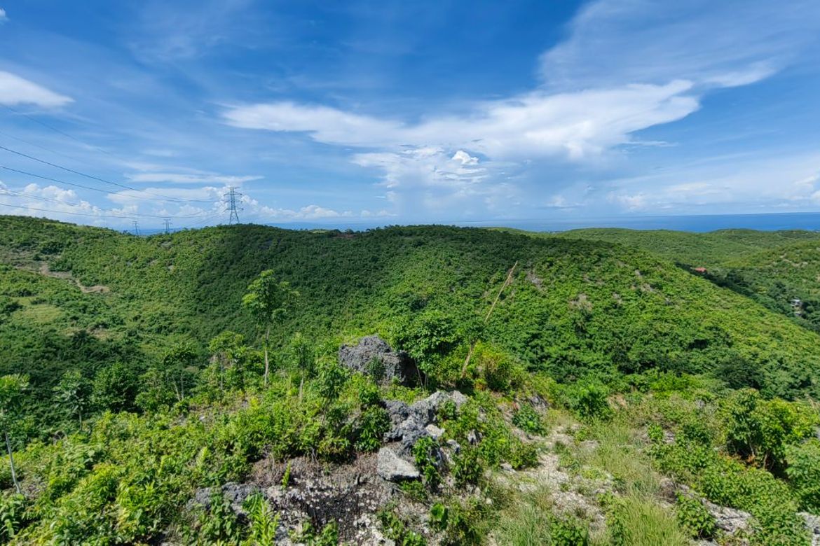 Land for Sale in Lataban, Liloan, Cebu – photo 8